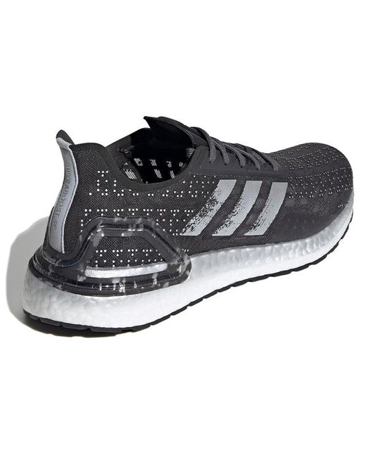 Adidas Blue Ultraboost Pb for men