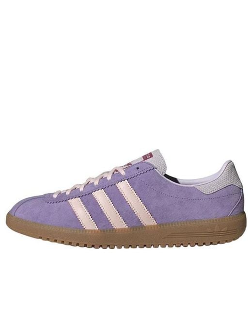 Adidas Purple Bermuda for men