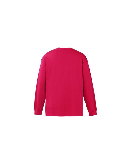 Nike Pink Acg Logo Printing Sports Round Neck Long Sleeves Wine T-Shirt for men