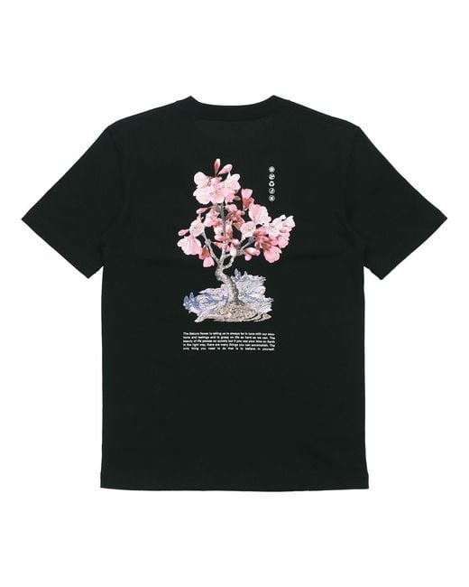 Li-ning Black Sakura Graphic T-shirt for men