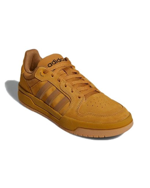 Adidas Brown Entrap for men