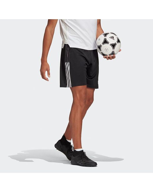 Adidas Blue Tiro21 Tr Sho 3 Bands Soccer Sport Shorts for men