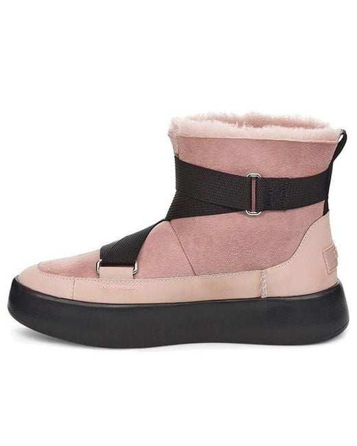 Ugg Brown (Wmns) Classic Boom Buckle