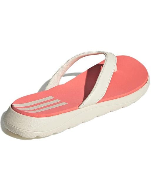 Adidas Pink (Wmns) Neo Comfort Flip-Flops