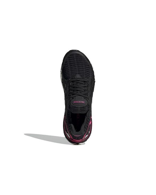 Adidas Blue David Beckham X Ultraboost Cc_1 Dna 'Core' for men