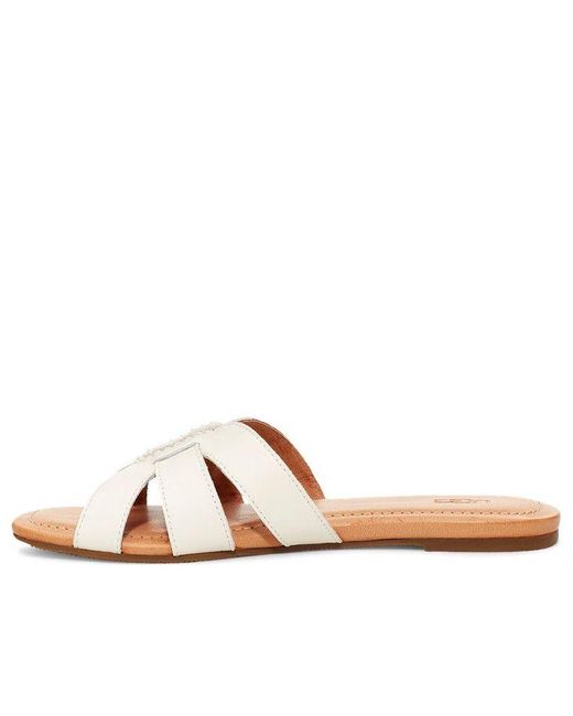 Ugg Brown (Wmns) Teague Slippers