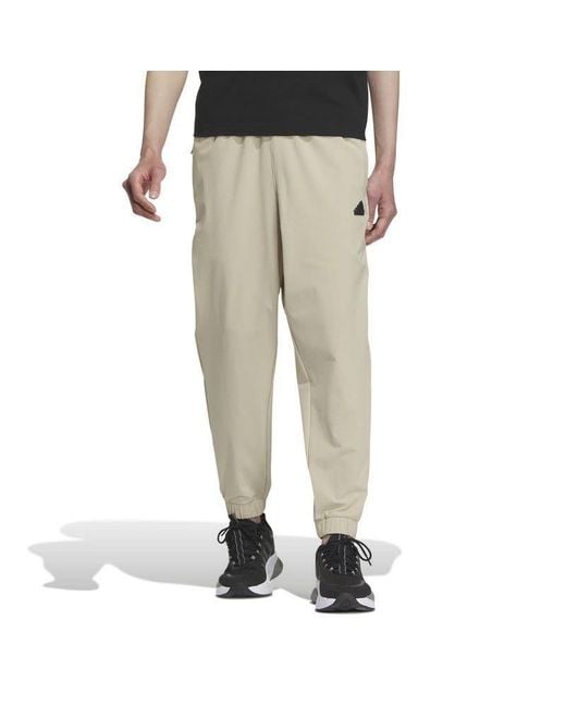 Adidas Natural Sportswear Urban Outdoor Pants for men