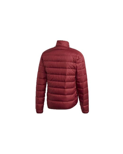 Adidas Red Logo Printing Stand Collar Stay Warm Sports Down Jacket for men