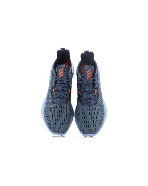 Adidas Blue Alphabounce+ Run for men