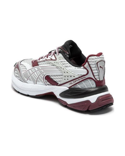 PUMA White Velophasis Phased Burgundy' for men