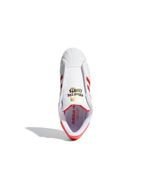Adidas Red Adidas Superstar for men