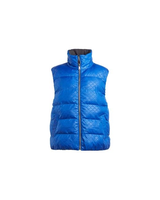 Adidas Blue Puffer