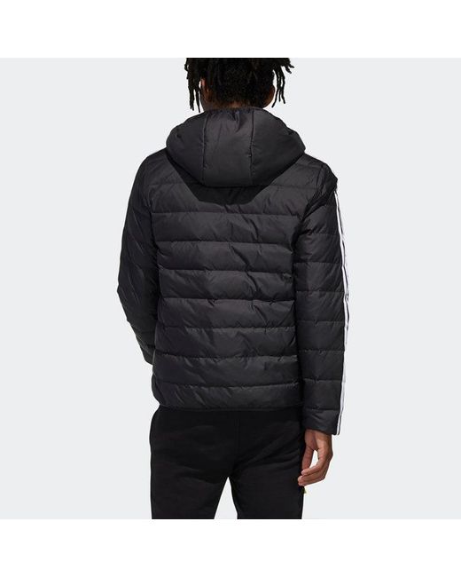 Adidas Blue Neo Windproof Stay Warm Casual Hooded Zipper Down Jacket for men