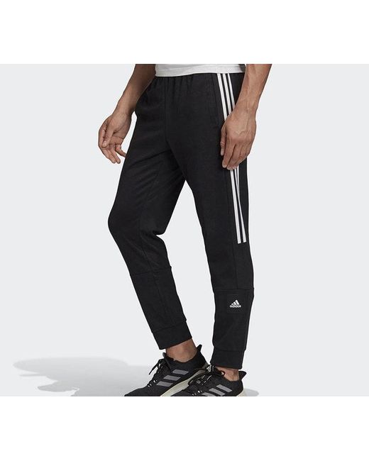 Adidas Black M Mh Bos Tp Sj Training Series Sports Pants for men