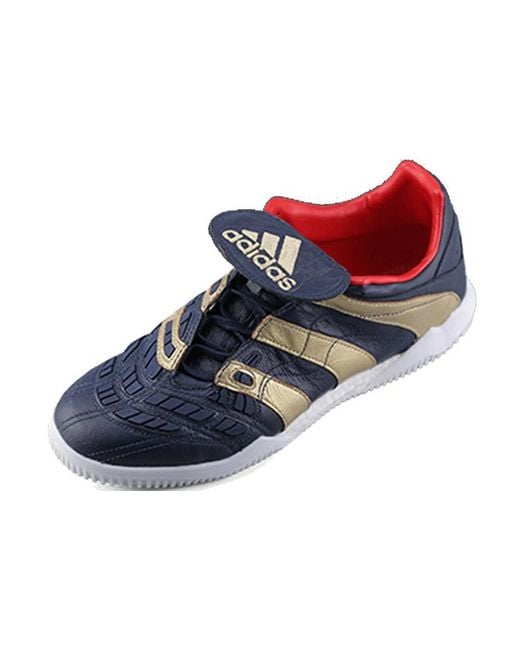 Adidas Blue Predator Accelerator Tr Zinedine Zidane for men