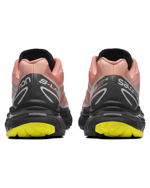 Salomon Brown Xt-6 Series for men