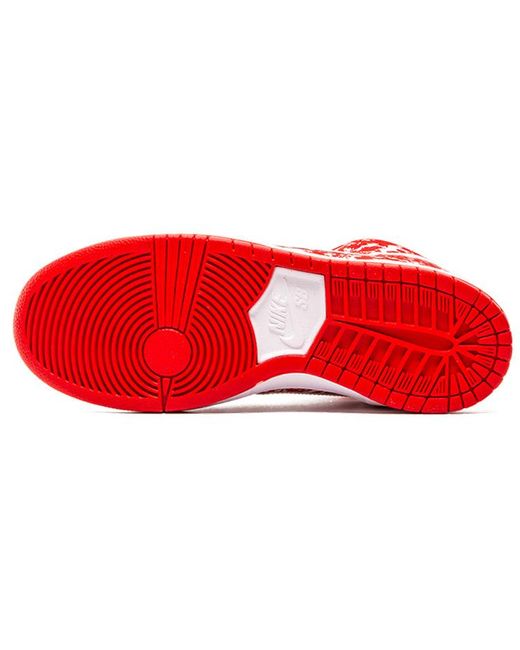 nike dunk sb raw meat