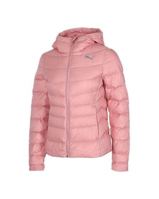 PUMA Pink Full Sleeve Solid Jacket