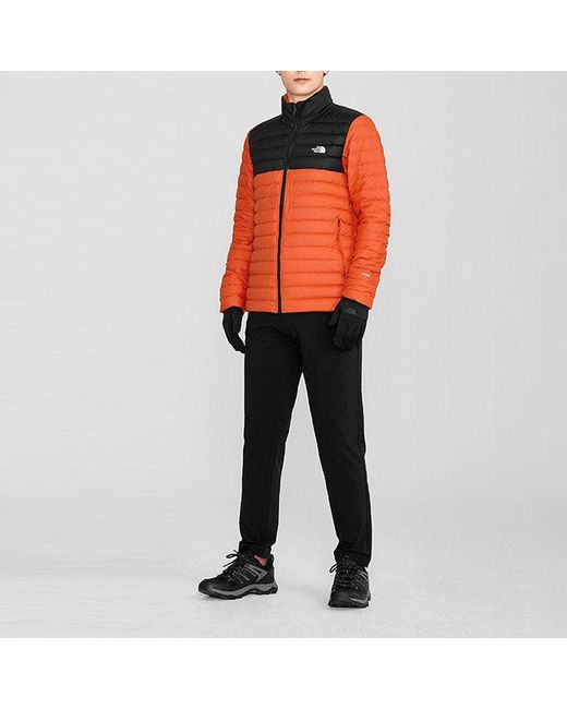 The North Face Orange Nuptse Jacket 700 for men