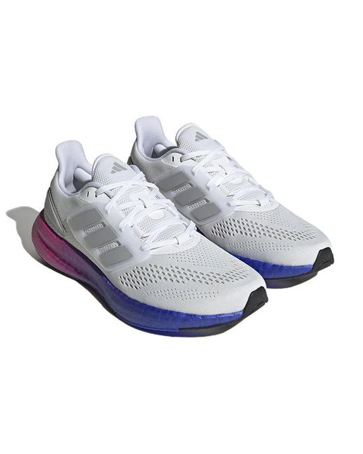 Adidas Purple Pureboost 22 Lucid Gradient' for men