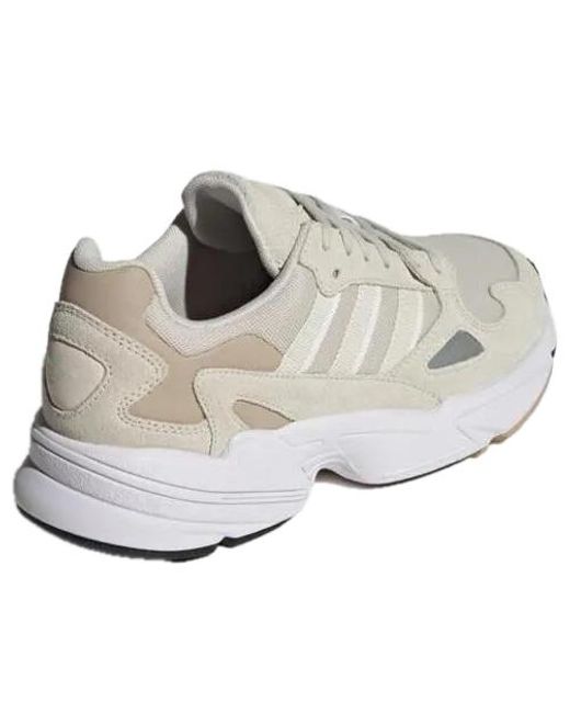Adidas White (Wmns) Falcon