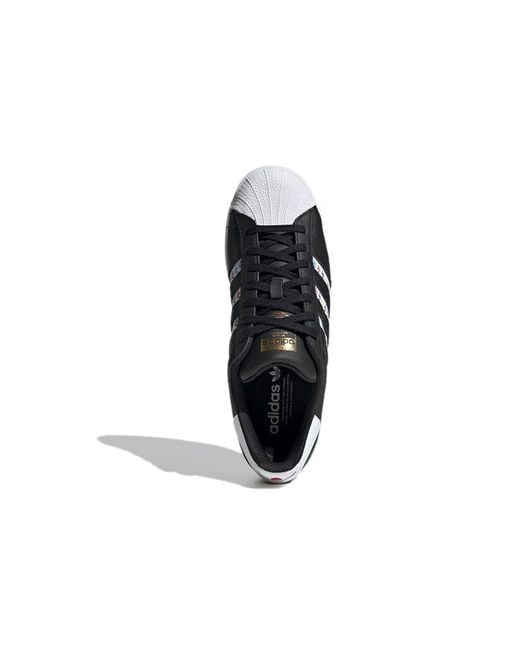 Adidas Blue Superstar Multi' for men