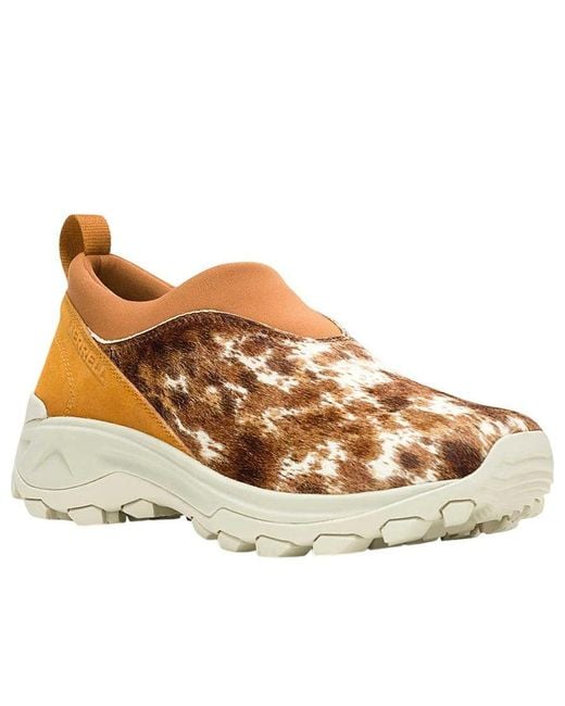 Merrell Brown Winter Moc 3 Ch Se 'Spice' for men