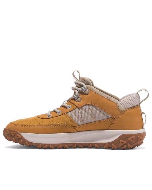 Timberland Brown (Wmns) Greenstride Motion 6 Sneakers 'Wheat'