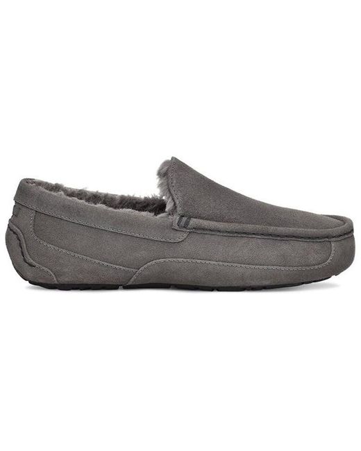 Ugg Gray Ascot Slip-On for men