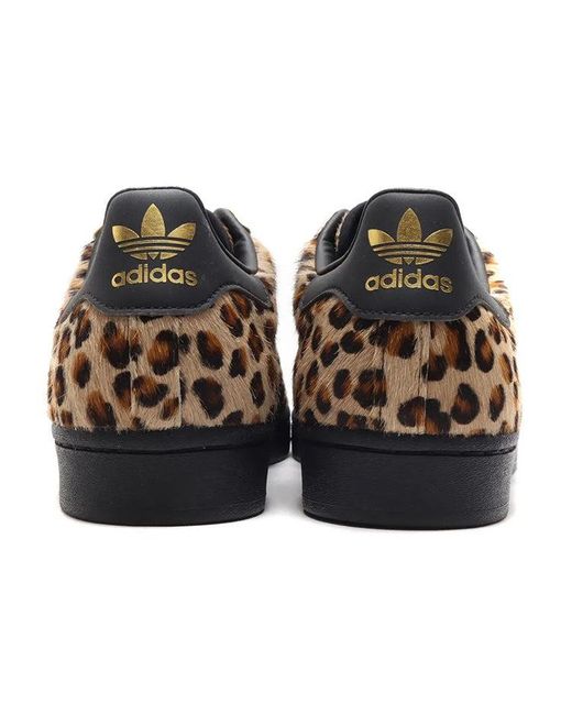 Adidas Brown X Atmos Superstar 'Cheetah' for men