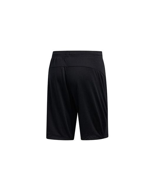 Adidas Black Climawarm Short Training Sports Shorts for men