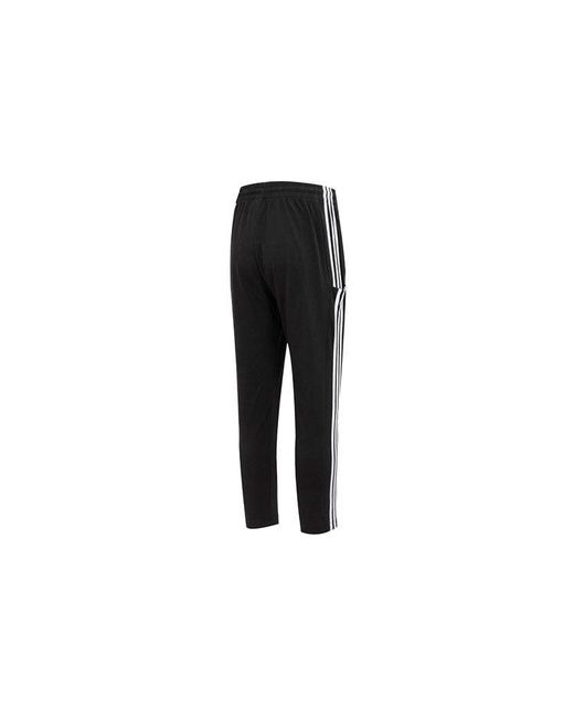 Adidas Black Logo Essentials Single Jersey Tapered Open Hem 3-Stripes Pants for men
