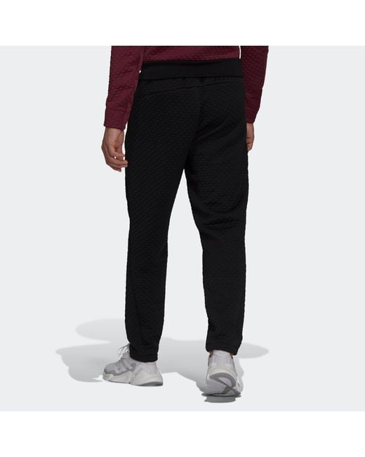 Adidas Black Z.N.E. Pt Rdy Casual Breathable Bundle Feet Sports Pants/Trousers/Joggers for men