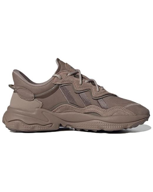 Adidas Brown Ozweego
