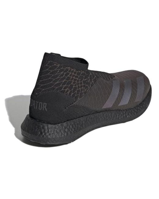 Adidas Black Predator 20.1 Tr Adv for men