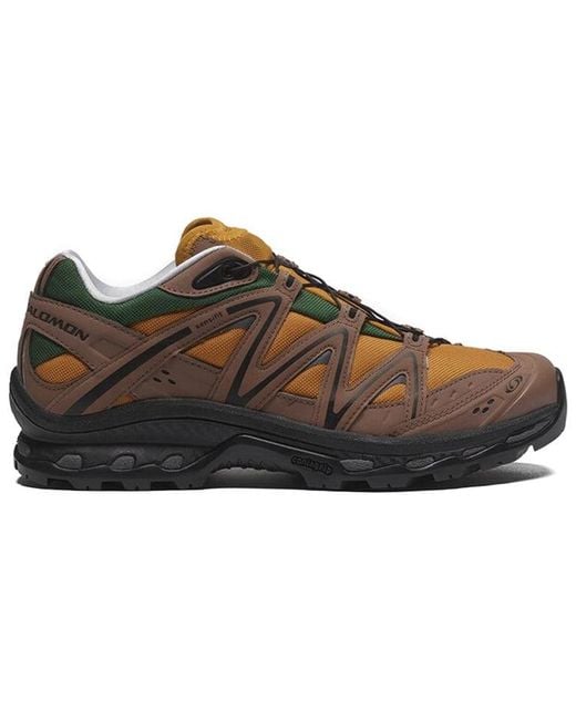 Salomon Brown Xt-Quest 75 for men