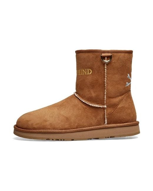 Ugg Brown Classic Short Boot X Mastermind World 'Chestnut' for men