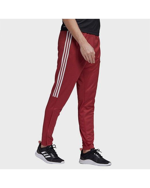 Adidas Red Leisure Sports Running Small Feet Knitted Trousers for men