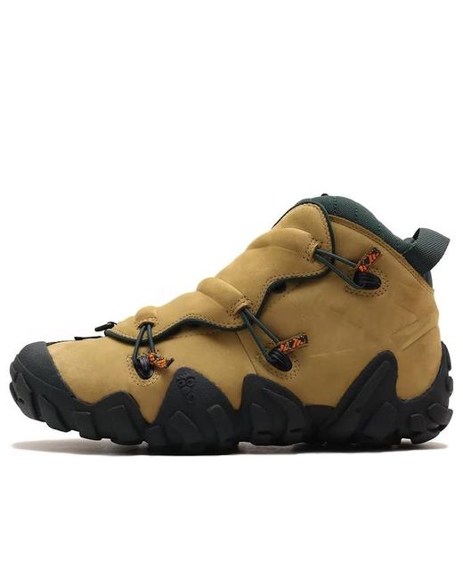 Adidas Brown X Atmos Radlander Eqt 'Khaki' for men