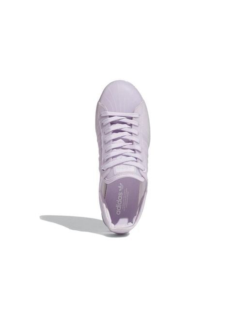 Adidas Purple (Wmns) Superstar Jelly Tint'