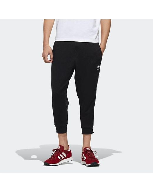 Adidas Blue Originals Logo Sports Pants/Trousers/Joggers for men