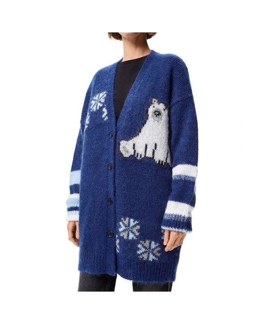 Loewe Blue (Wmns) Ss21 Large Multi-Color Cardigan