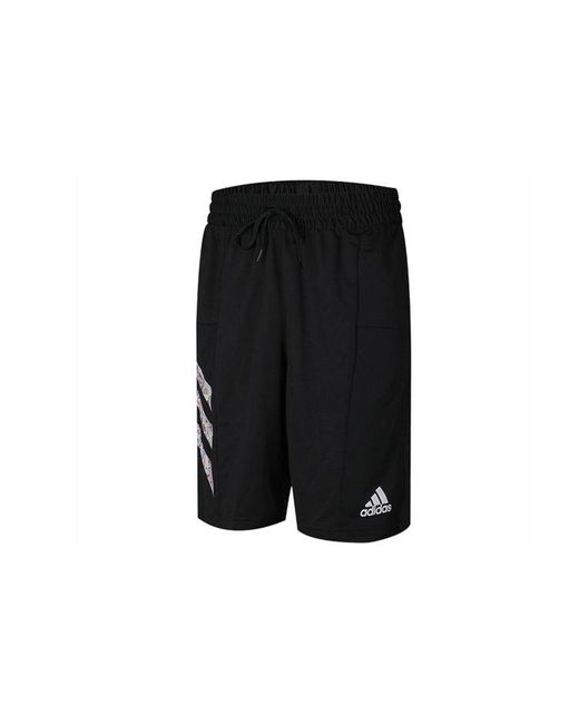 Adidas Black Training Dri-Fit Sports Shorts for men