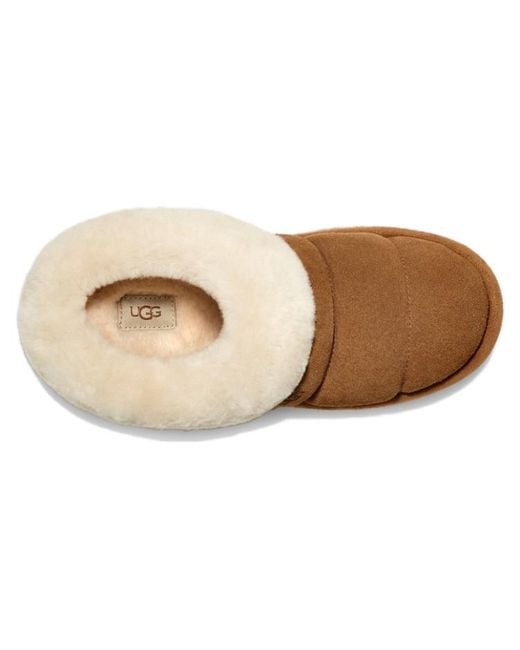 Ugg Brown (Wmns) Tazzlita 'Chestnut'