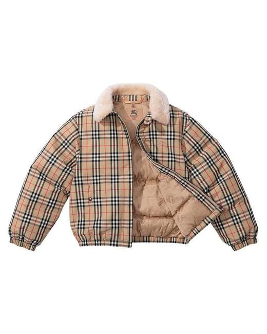 Supreme X Burberry Shearling Collar Down Puffer Jacket in Natural