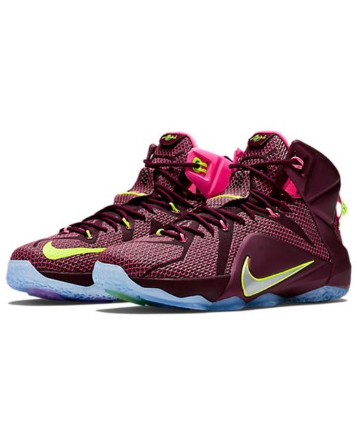 Nike Purple Lebron 12 Ep 'Double Helix' for men
