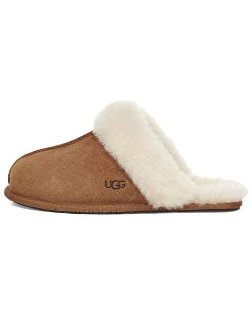 Ugg Scuffette Ii Brown Slippers