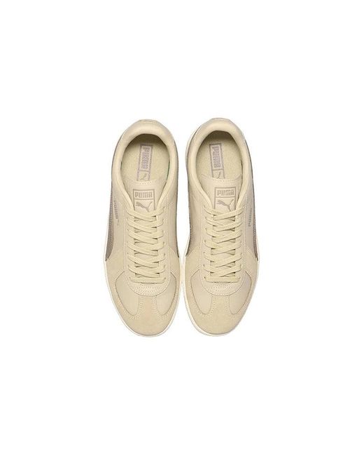 PUMA Brown Army Trainer Low Tops Casual Skateboarding Shoes for men