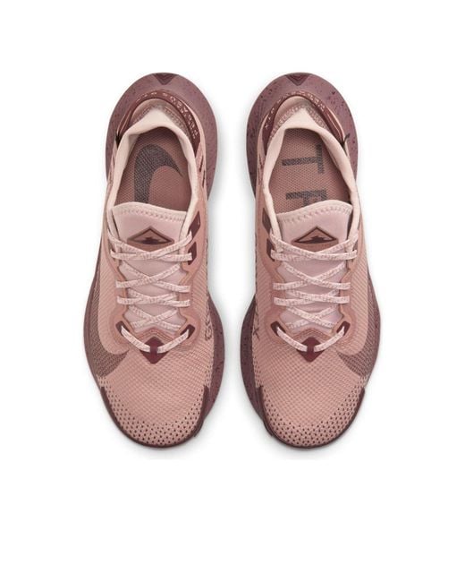 Nike Brown (Wmns) Pegasus Trail 2 Gtx 'Desert Dust Mauve'