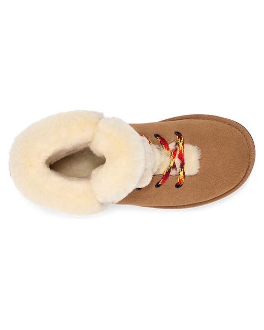 Ugg Brown (Wmns) Classic Mini Alpine Lace